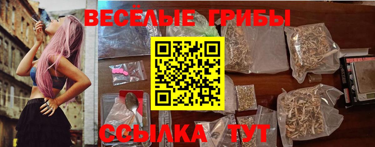 Галлюциногенные грибы GOLDEN TEACHER  Вход с VPN  Вышний Волочёк 